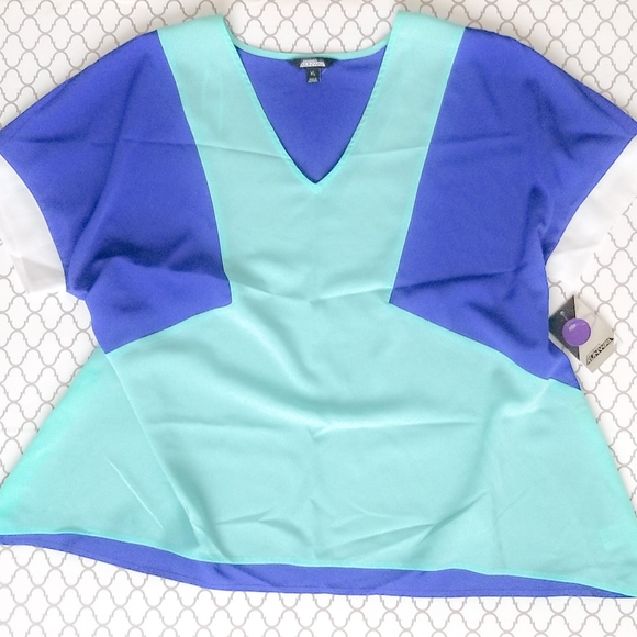 Project Runway Colorblock Top - Picture 3 of 5